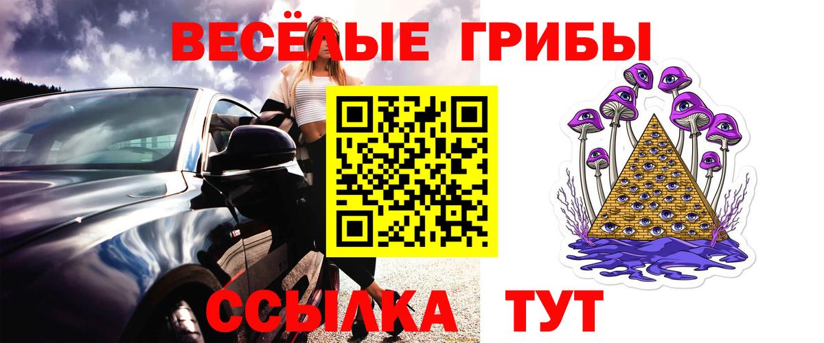Псилоцибиновые грибы мицелий  продажа наркотиков  Галлюциногенные грибы ЛСД  Дивногорск  Вход с VPN 